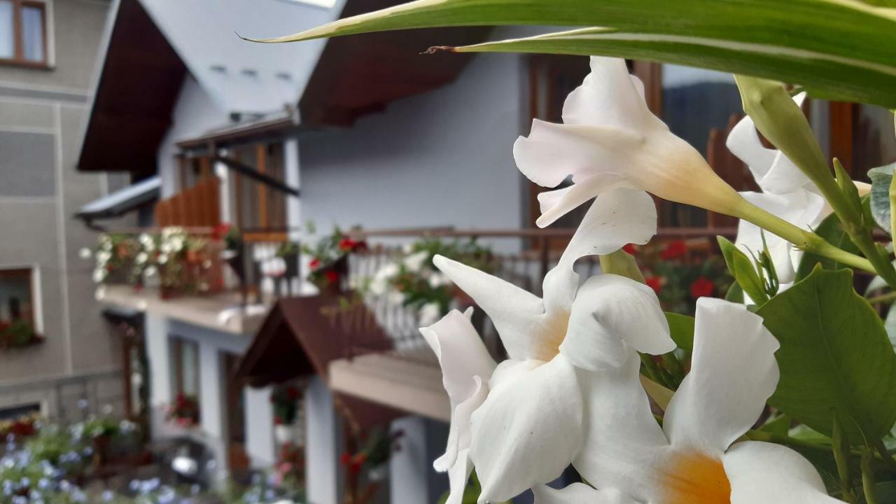 Pokoje Do Wynajecia U Lusi Kroscienko nad Dunajcem Exterior photo